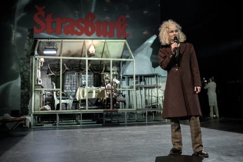 Tereza Hof pracuje s mimikou v detailu kamery s absolutní přesností a v mluvených pasážích zachovává vědomý chlad a odstup. Foto Petr Neubert